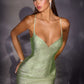 Ladivine CD2424 Fitted Sleek Silhouette Shimmering Fitted Dress
