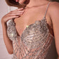 Ladivine CD763 Fit & Flare Crystal Embellished Gown & Overskirt
