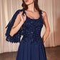 Ladivine CDS503 Dress Chiffon A-Line Beaded Lace Bodice Removable Cape
