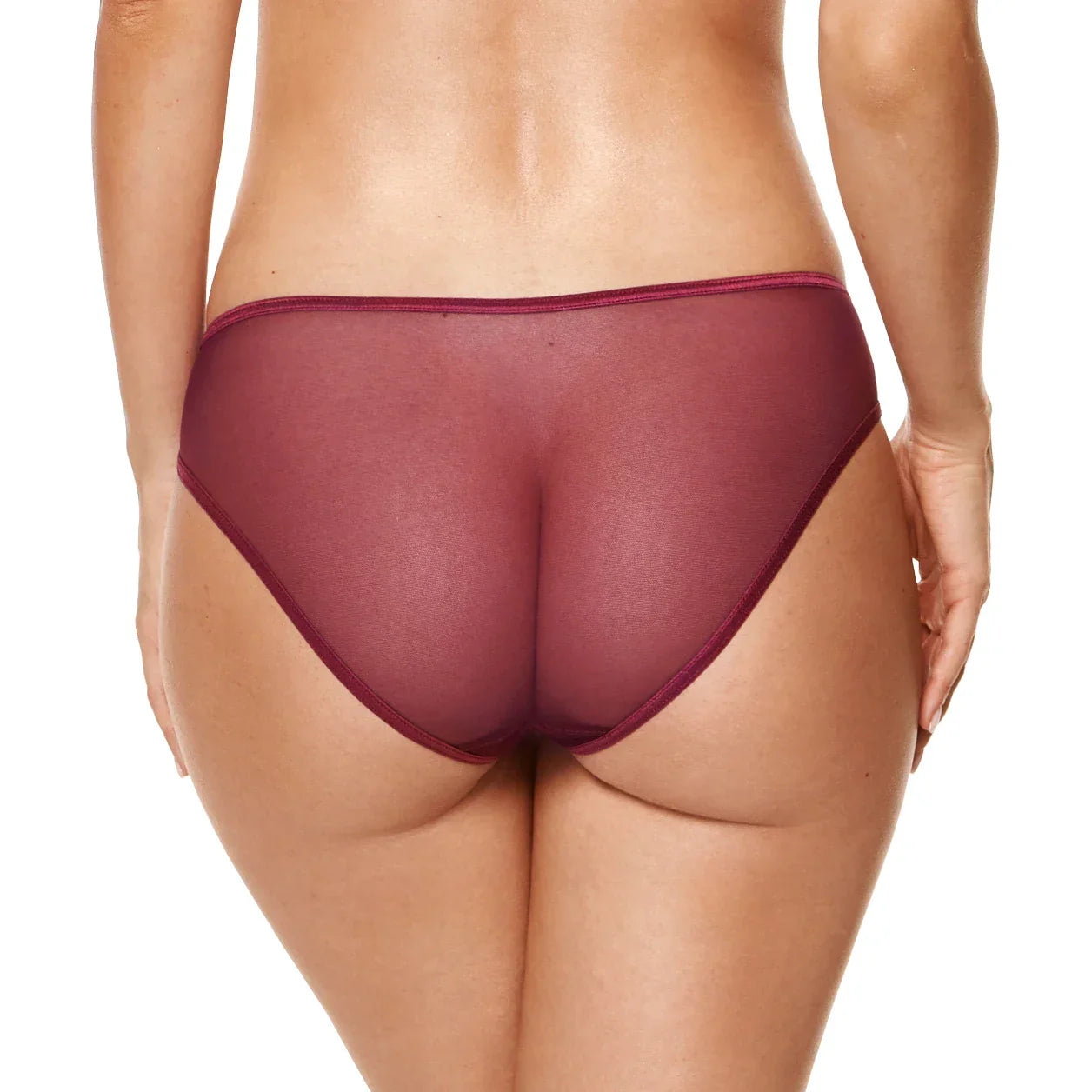 Gorteks Coco Burgundy Sheer Mid Rise Bikini Panty-1