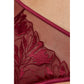 Gorteks Coco Burgundy Sheer Mid Rise Bikini Panty-3