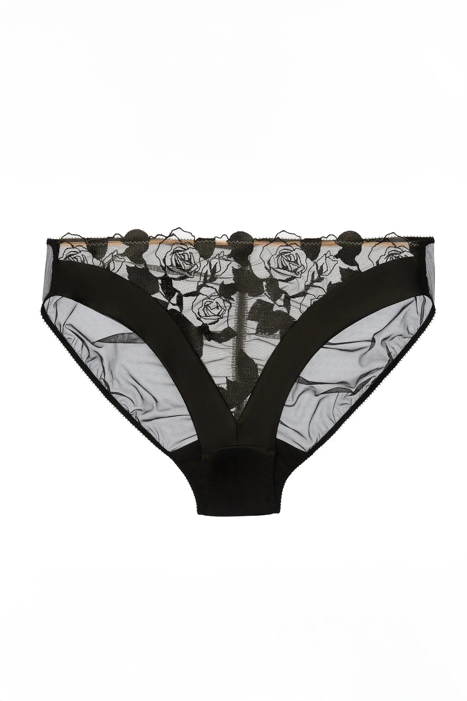 Dita Von Teese Rosabelle Sheer Bikini Panty-2