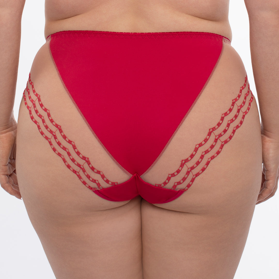 Samanta Daniela Red Sheer Mesh Tulle Embroidered Bikini Panty-1