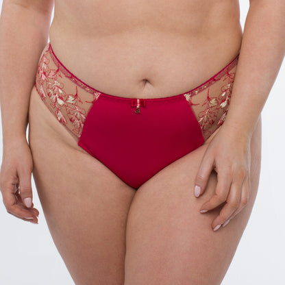 Samanta Daniela Red Sheer Mesh Tulle Embroidered Bikini Panty-0