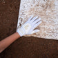 Softball Series – White/White