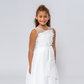 Gaia Glamour A-Line Dress-4
