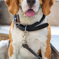 Rolled Leather Dog Collar