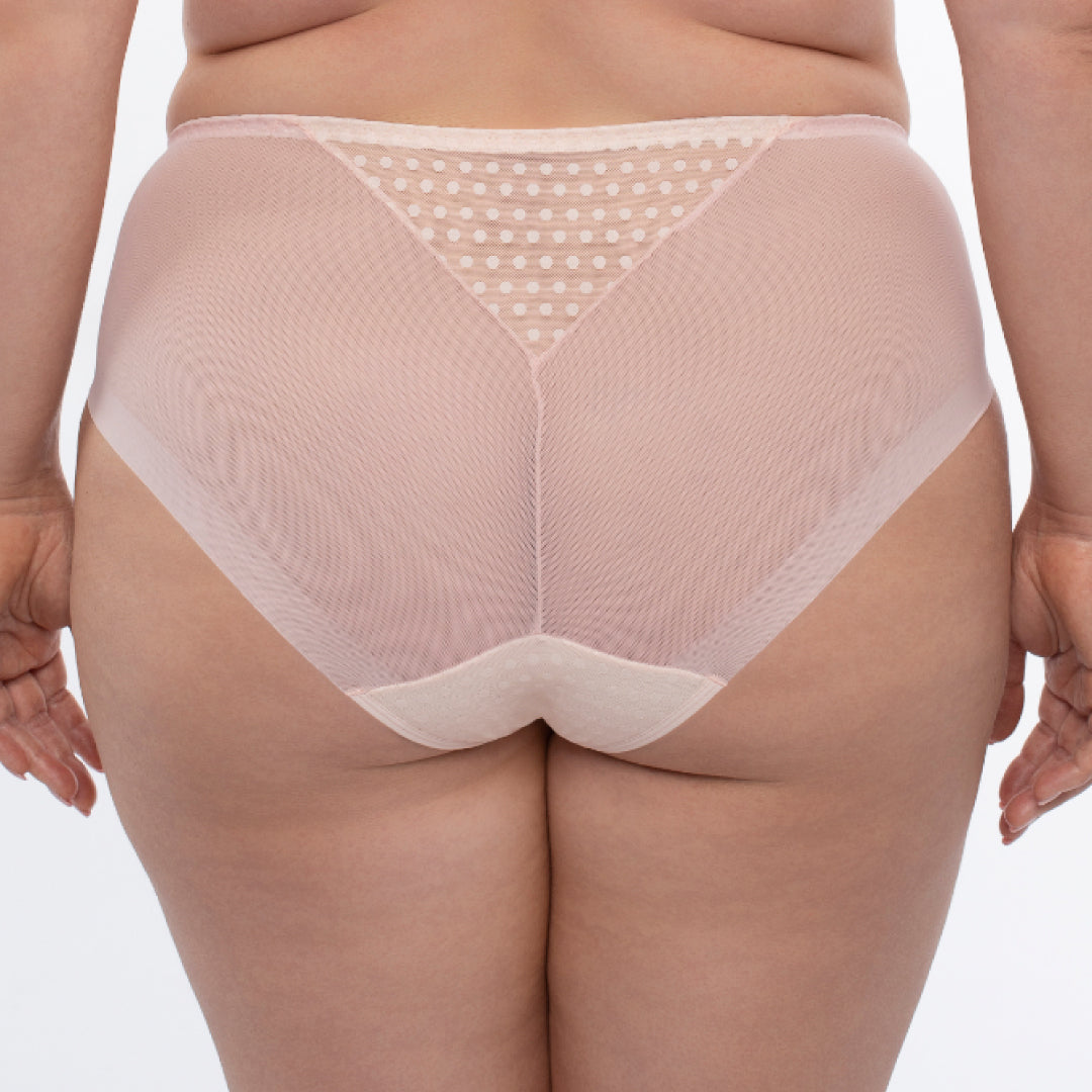 Samanta Donna Powder Rose Sheer Mesh Tulle Embroidered Brief Panty-1