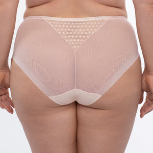 Samanta Donna Powder Rose Sheer Mesh Tulle Embroidered Brief Panty-1