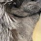 Roma Genuine Silver Fox Fur Rabbit Fur Insulated Parka in Red