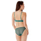Gossard Glossies Lace Jade Sheer Bikini Panty
