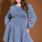 YOUR SWEETIE DENIM MINI DRESS