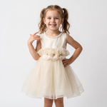 Caramel Dream Dress-0