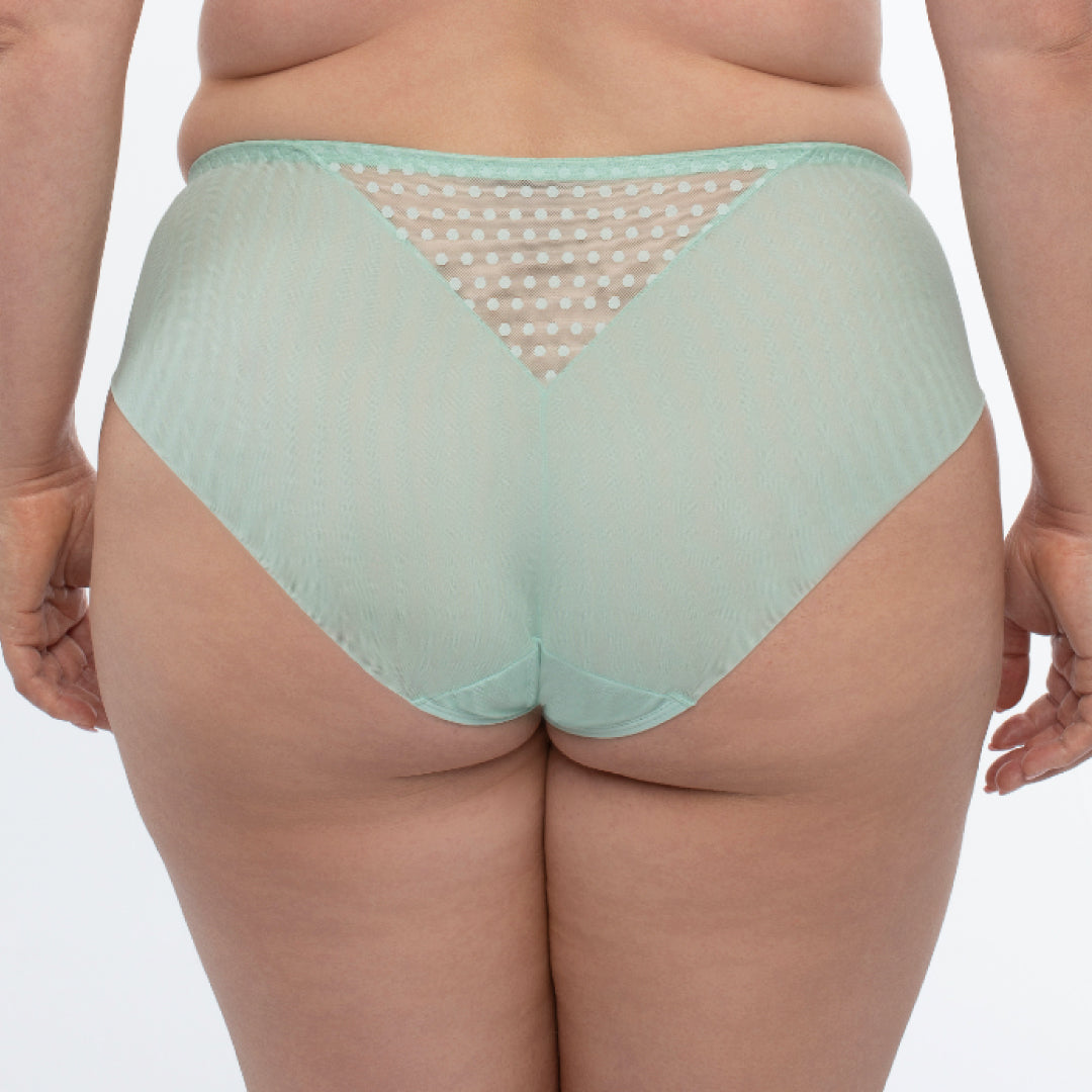 Samanta Juno Mint Sheer Mesh Tulle Embroidered Bikini Panty-1