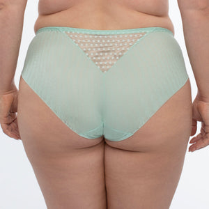 Samanta Juno Mint Sheer Mesh Tulle Embroidered Bikini Panty-1