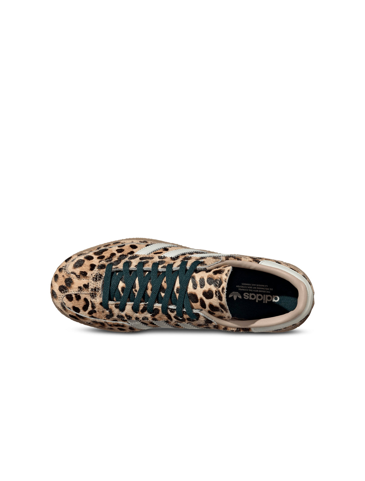 Adidas Women's Handball Spezial sneakers in Magic Beige, top view on white background