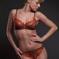 Lavinia Wildfire Sheer Demi Cup Bra-2