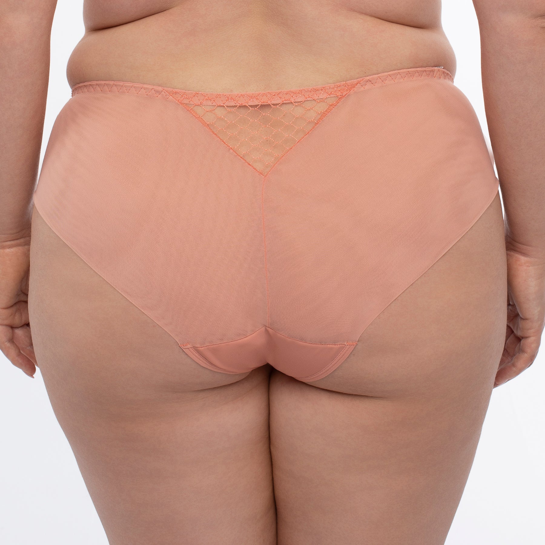 Samanta Lea Apricot Sheer Mesh Tulle Bikini Panty-1