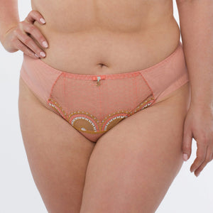 Samanta Lea Apricot Sheer Mesh Tulle Bikini Panty-0