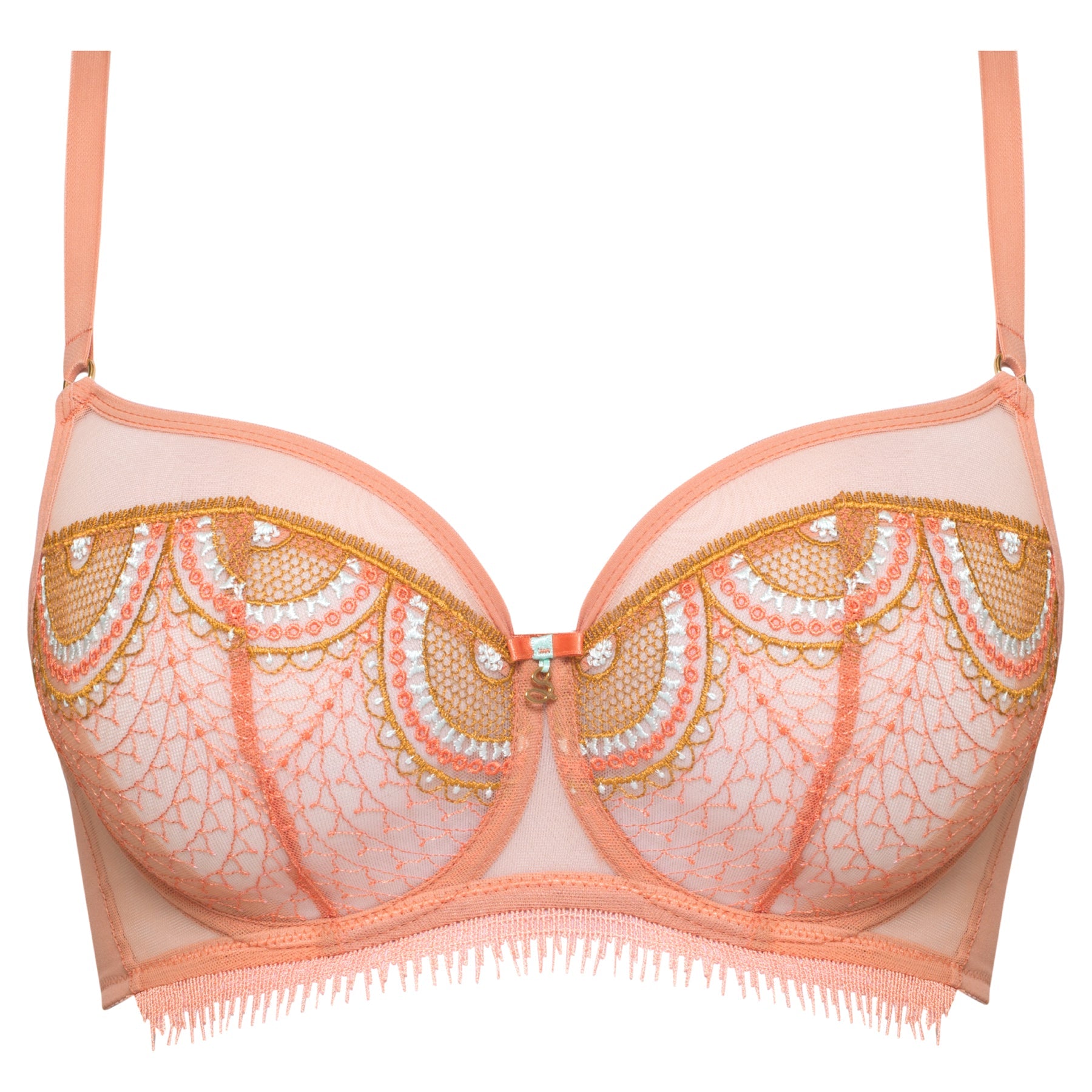 Sheer Mesh Embroidered Full Coverage Bra Lea-2