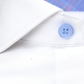 Leader Non-Iron Contrast // Blue Prince of Wales