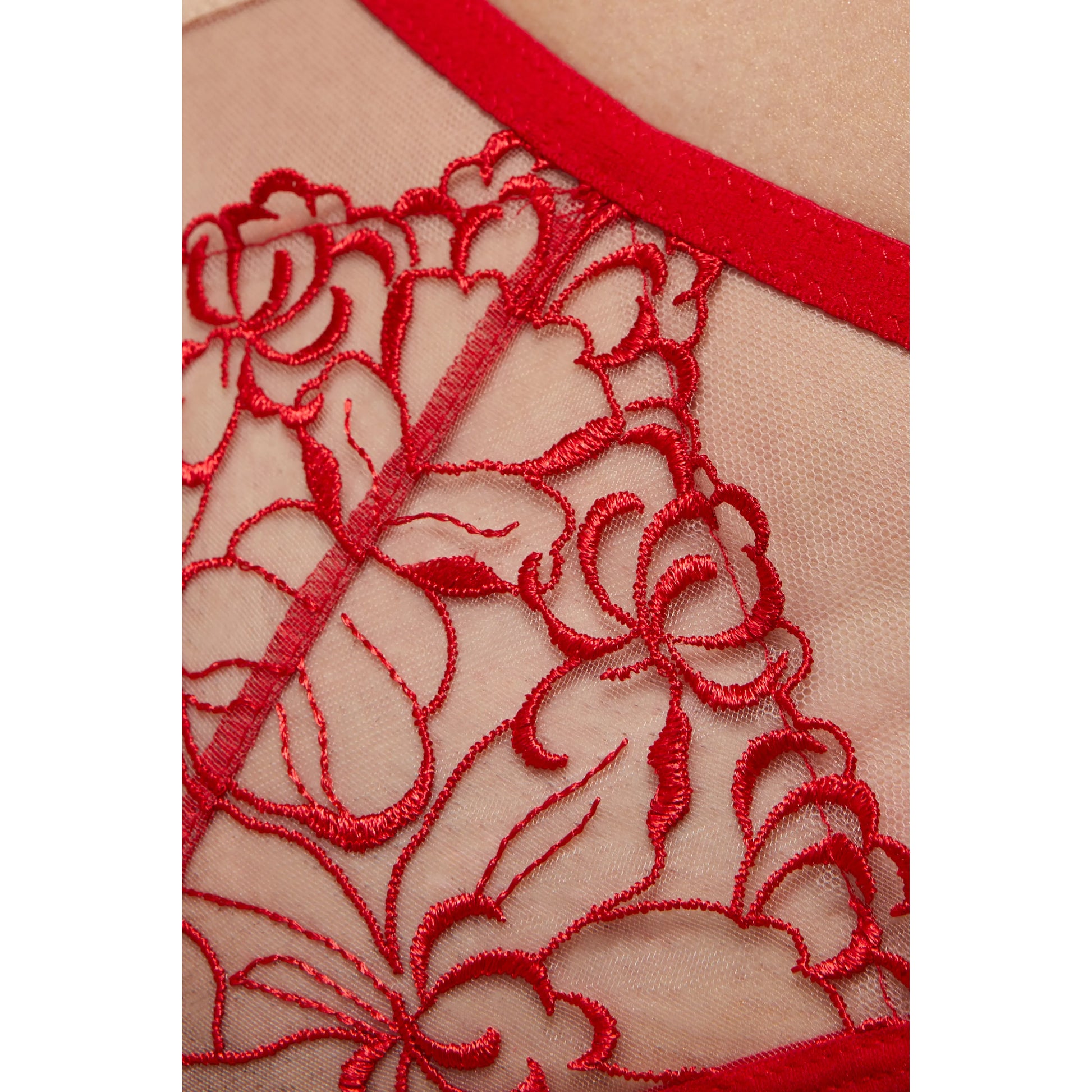 Gorteks Mistress Sheer Mesh Thong Panty-4