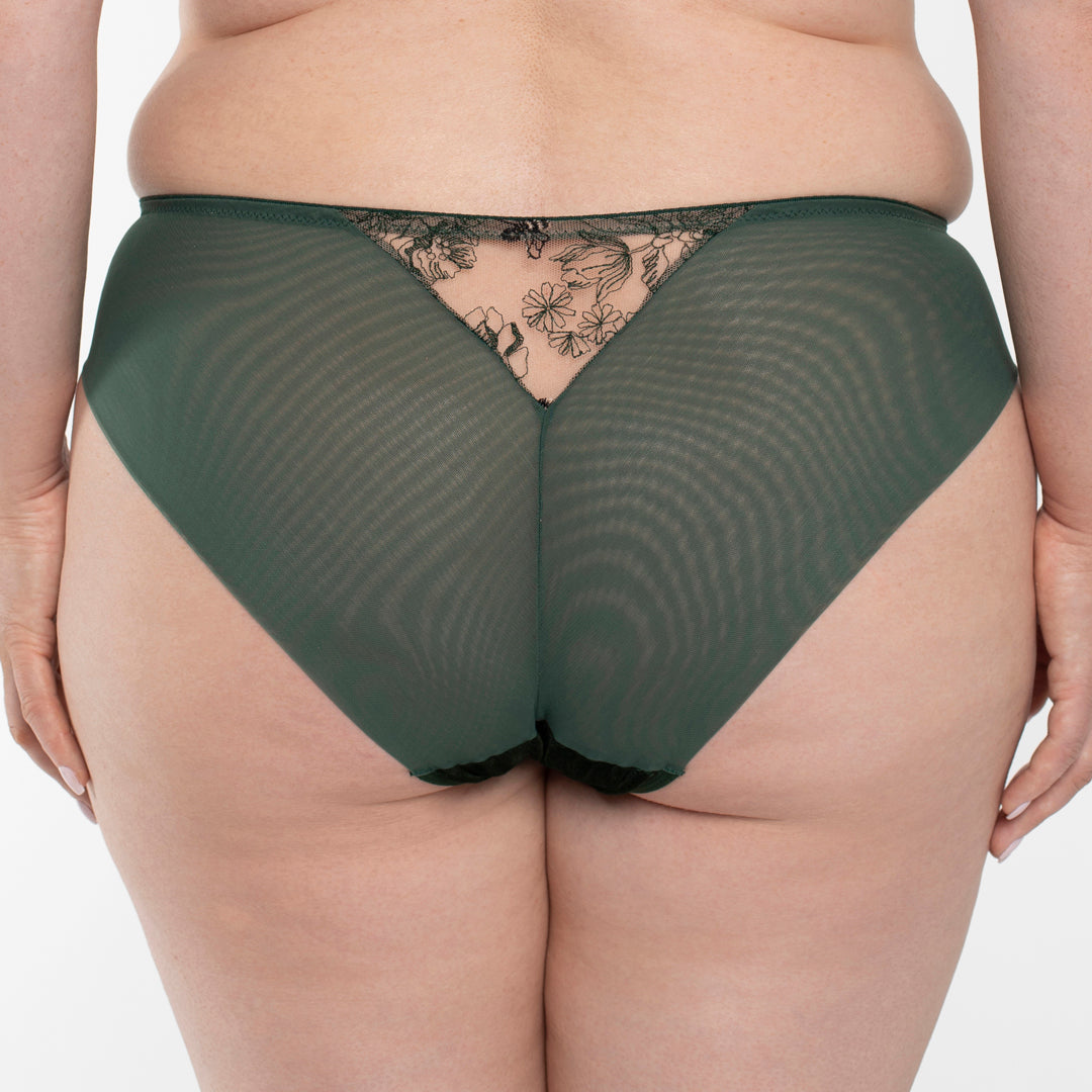 Samanta Ola Malachite Velvet Sheer Embroidered Brief Panty-1