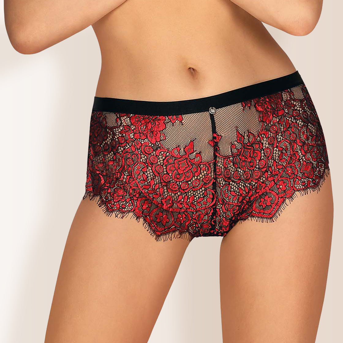 Obsessive Redessia Sheer Seductive Lace Shorties Panty-0