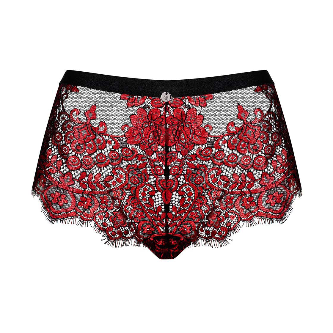Obsessive Redessia Sheer Seductive Lace Shorties Panty-4