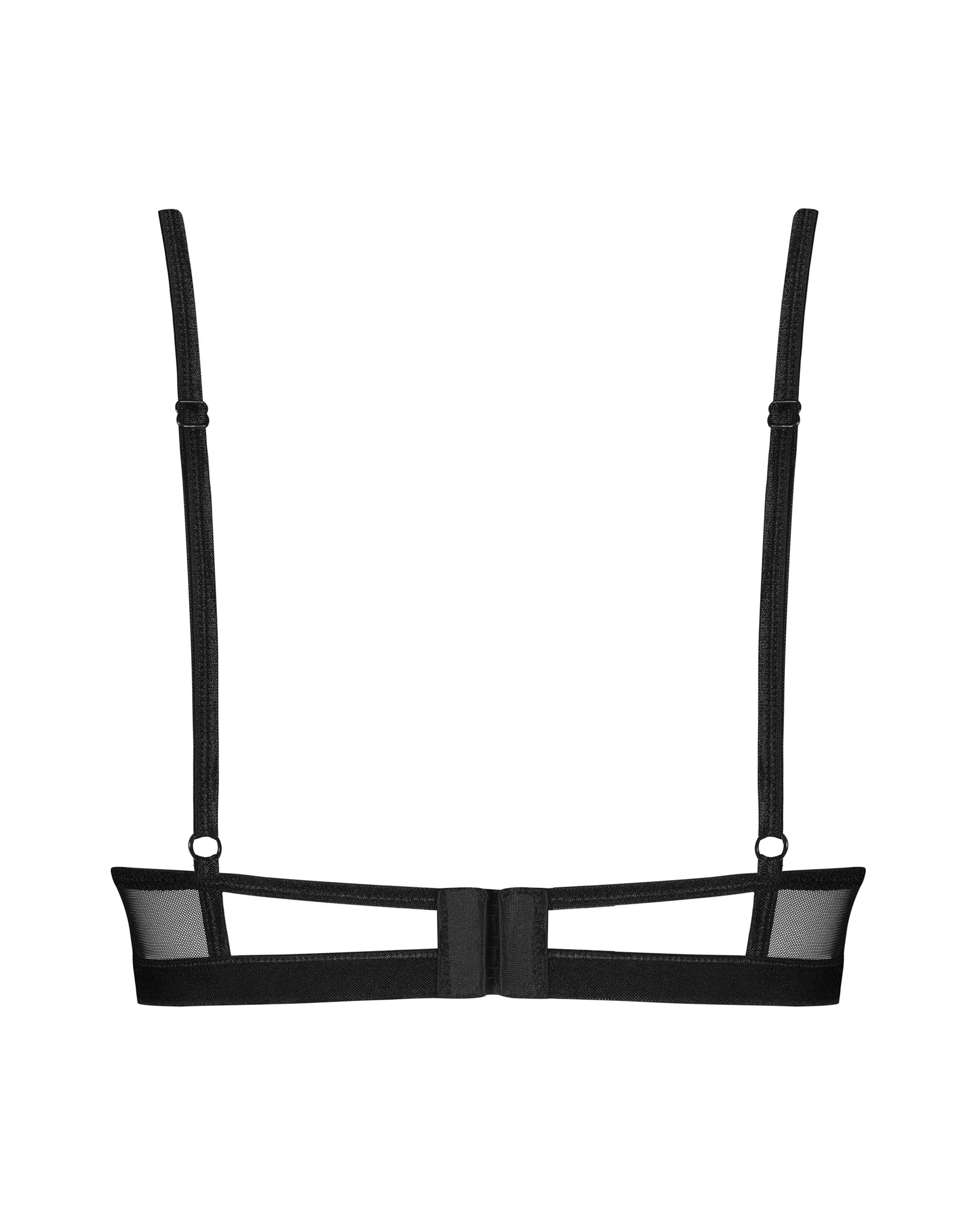 Sheer Lace Plunge Bra Donarella-4