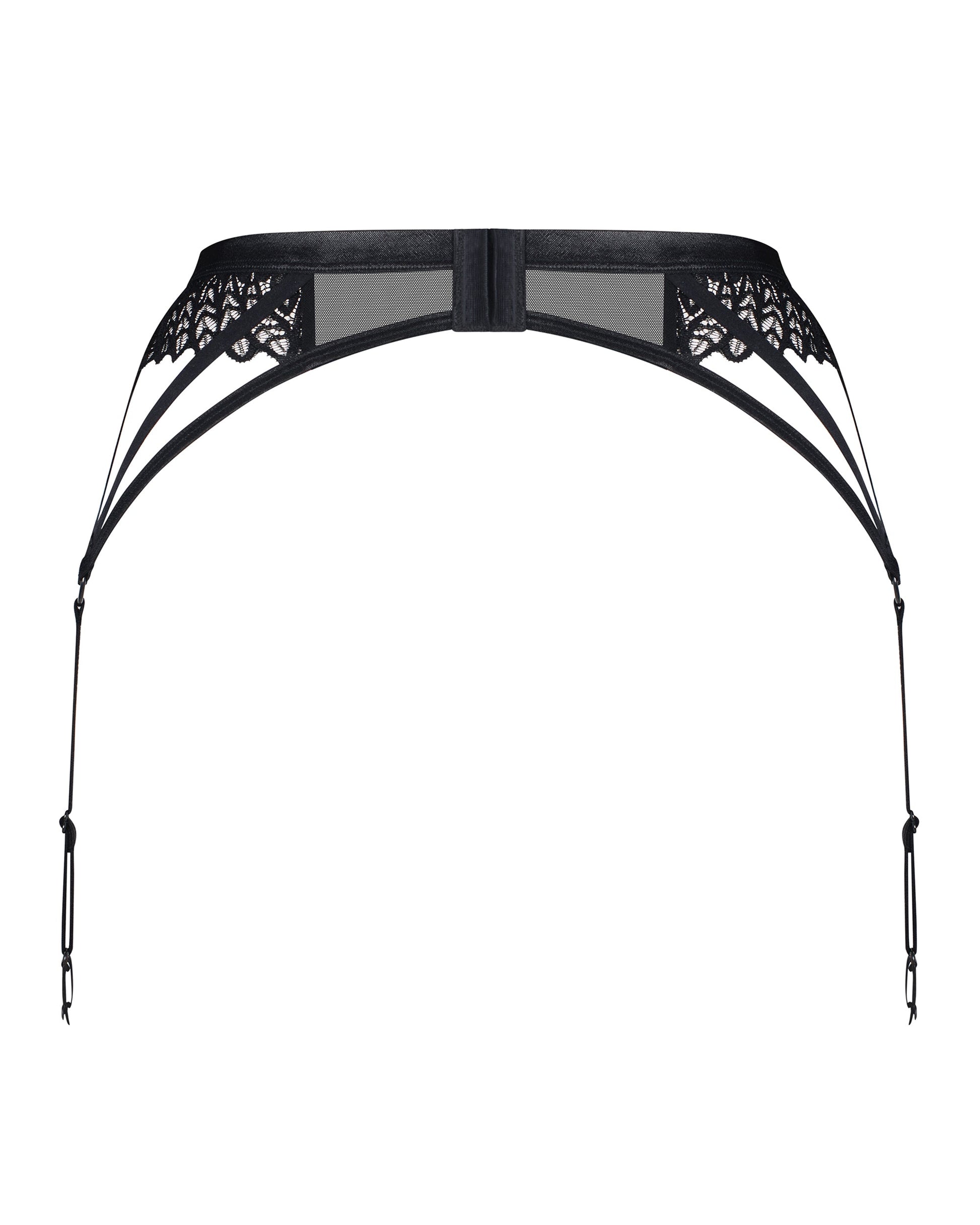 Obsessive Donarella Sexy Sheer Garter Belt-4