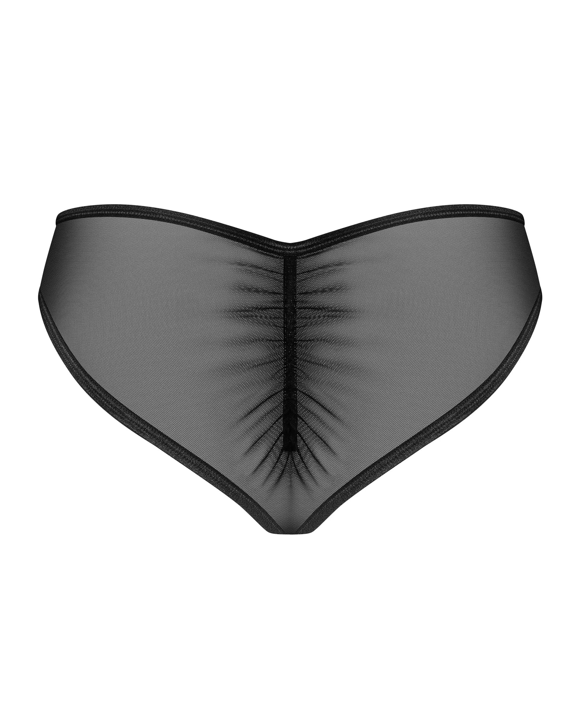 Obsessive Donarella Sheer Mesh Lace Bikini Panty-3