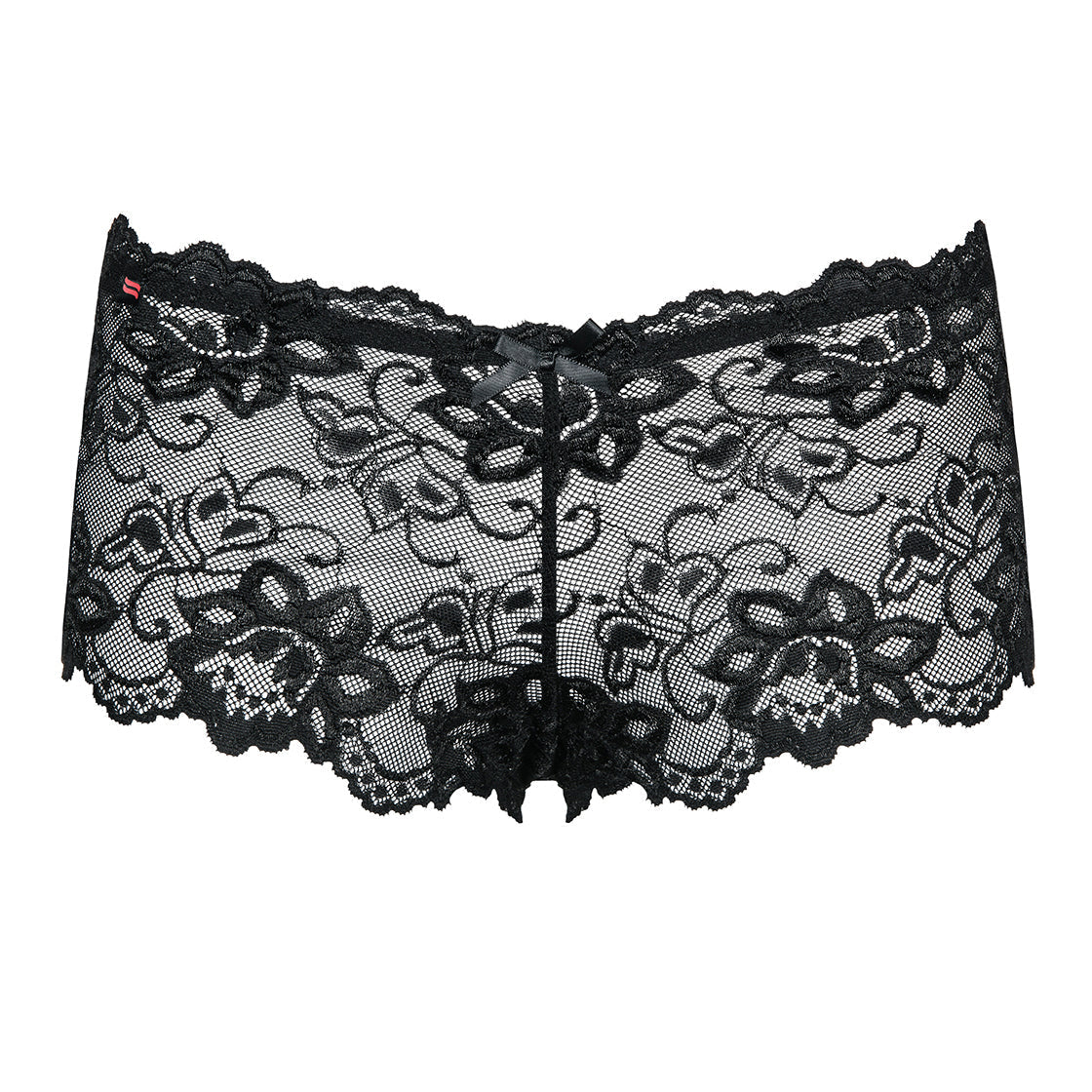 Obsessive Idillia Seductive Lace Shorties Panty-4
