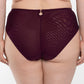 Samanta Perla Aubergine Sheer Mesh Tulle Embroidered Brief Panty-1