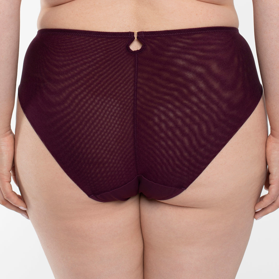 Samanta Perla Aubergine Sheer Mesh Tulle Embroidered Brief Panty-1