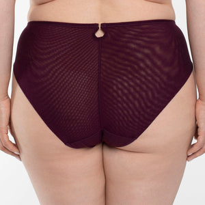 Samanta Perla Aubergine Sheer Mesh Tulle Embroidered Brief Panty-1