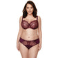 Gorteks Pamela Aubergine Semi Sheer Low Rise Bikini Panty-4