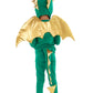 Green Dragon Costume