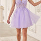 Ladivine SF047 Lace Bodice A-Line Layered Tulle Short Dress