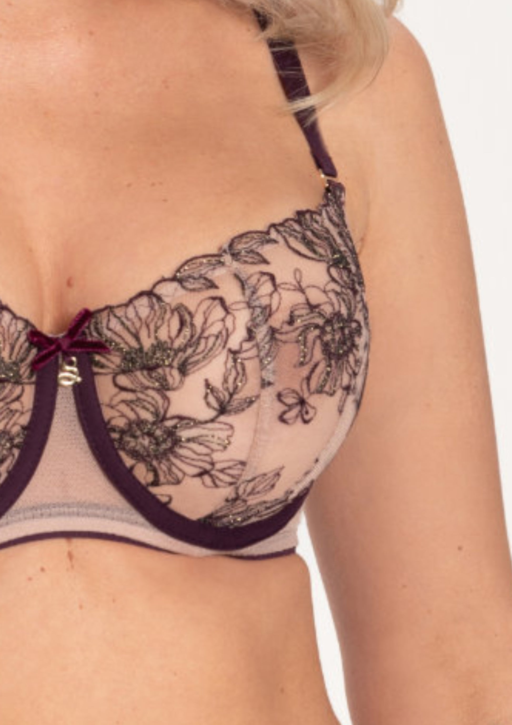 Samanta Silvia Aubergine Sheer Balconette Bra-2