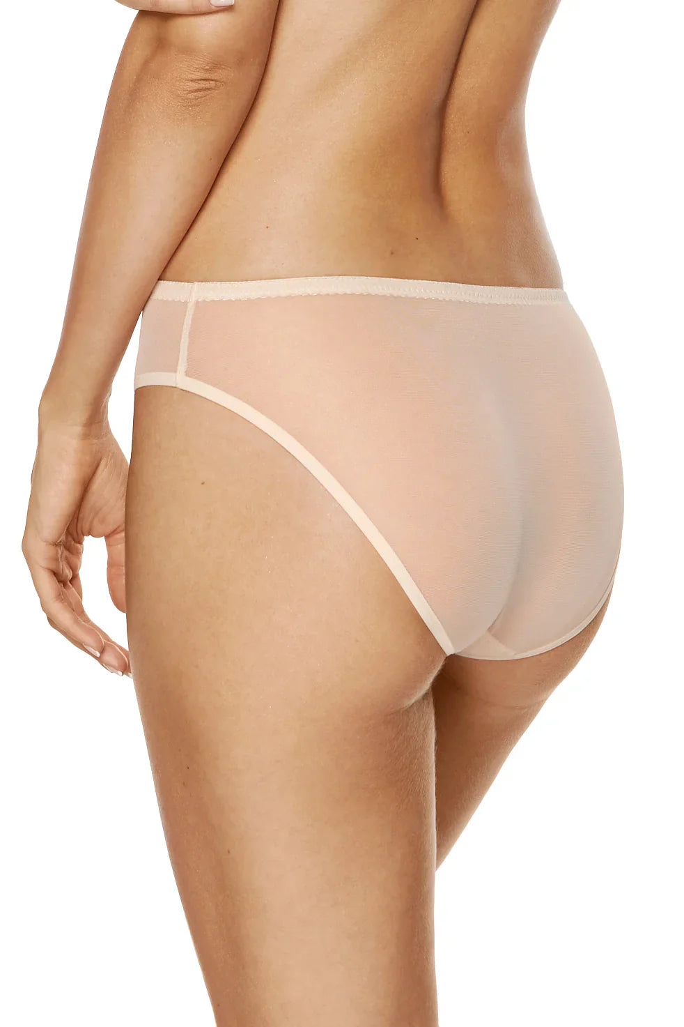Gorteks Soleil Sheer Mesh Embroidered Bikini Panty-1