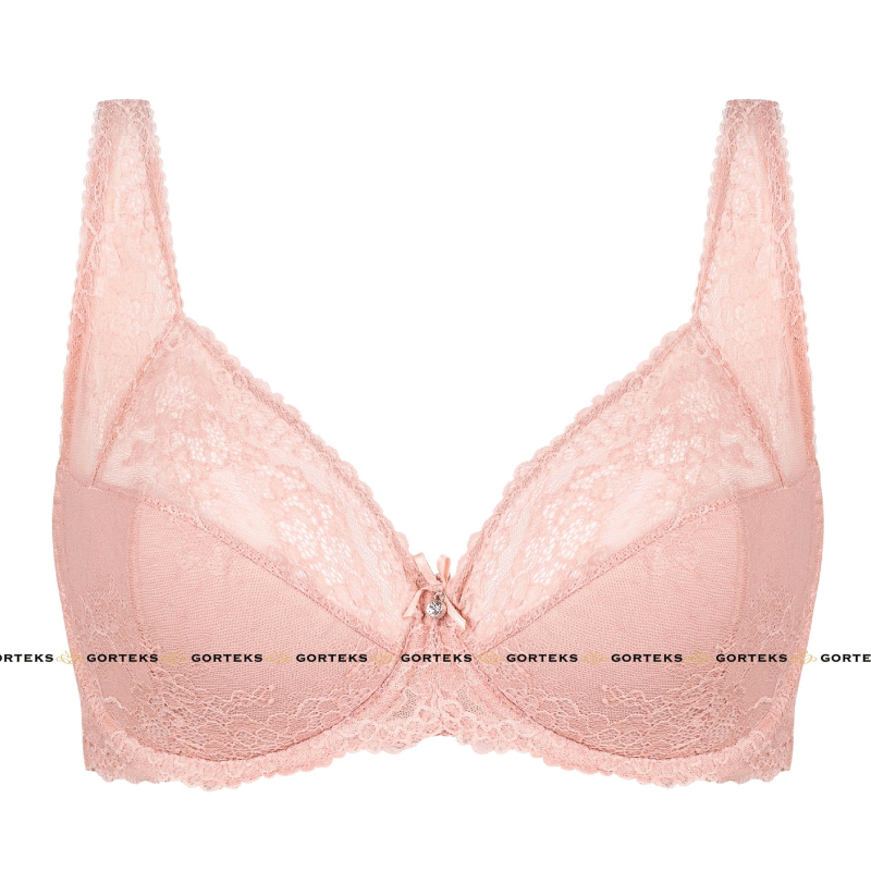 Gorteks Scarlet Powder Pink Semi Sheer Half Padded Bra-4