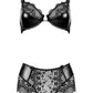 Beauty Night Charm Semi-Sheer Bra & Lace Shorts Set-3
