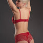 Sheer Lace Tanga Panty Lavinia Dare Me Red-3