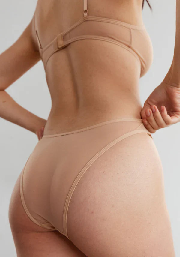 Blush The Mesh Bare Sheer High Leg Bikini Panty-1