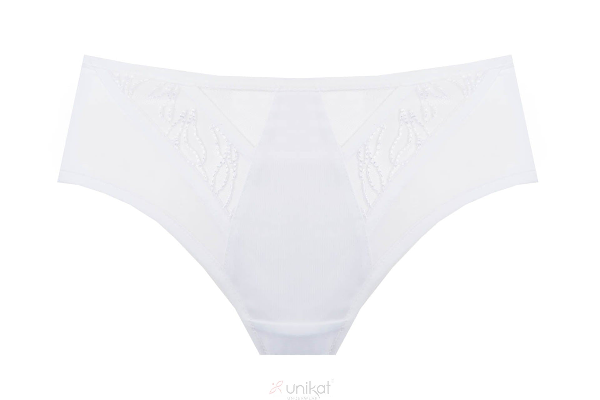 Unikat Virginia Sheer Mesh Low Rise Bikini Panty-2