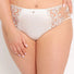 Samanta Perla Ivory Sheer Mesh Tulle Embroidered Brief Panty-0
