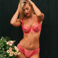 Samanta Perla Coral Sheer Mesh Tulle Embroidered Brief Panty-3