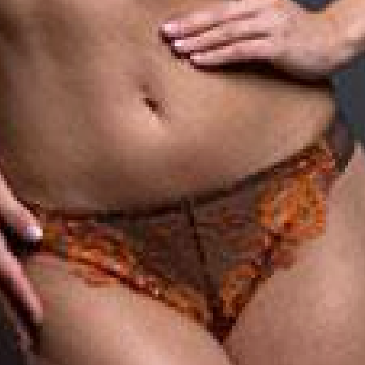 Sheer French Cut Thong Panty Lavinia Wildfire-0