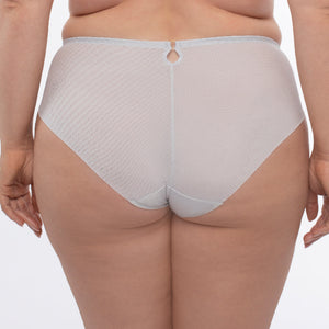 Samanta Sweet Gray Sheer Mesh Tulle Embroidered Brief Panty-1